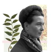 Ilustración Consuelo Astorga