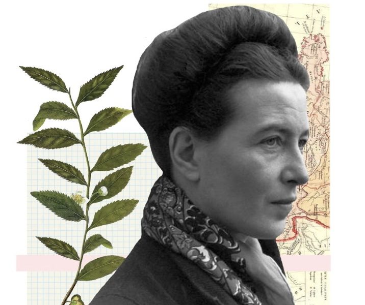 Ilustración Consuelo Astorga